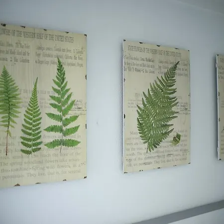 Vinnus Affittacamere 4*