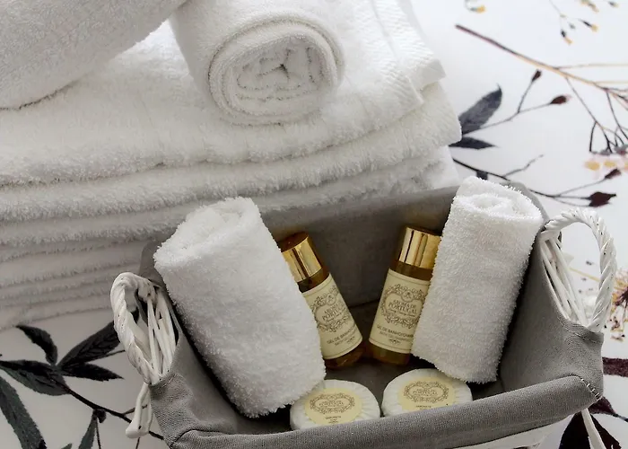 Vinnus Guest house 4*